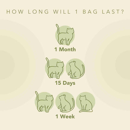 Infographic showing how long SoyKitty litter will last. One cat for one month, two cats for 15 days, three cats for one week.