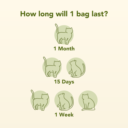 All-Natural, Non-Toxic Plant-Based Cat Litter