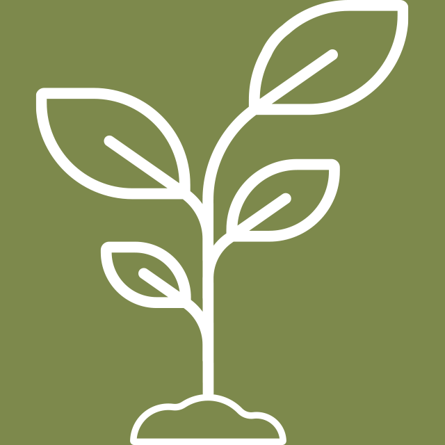 Icon of a plant symbolizing SoyKitty's commitment to simple, safe, and natural ingredients from Mother Nature.