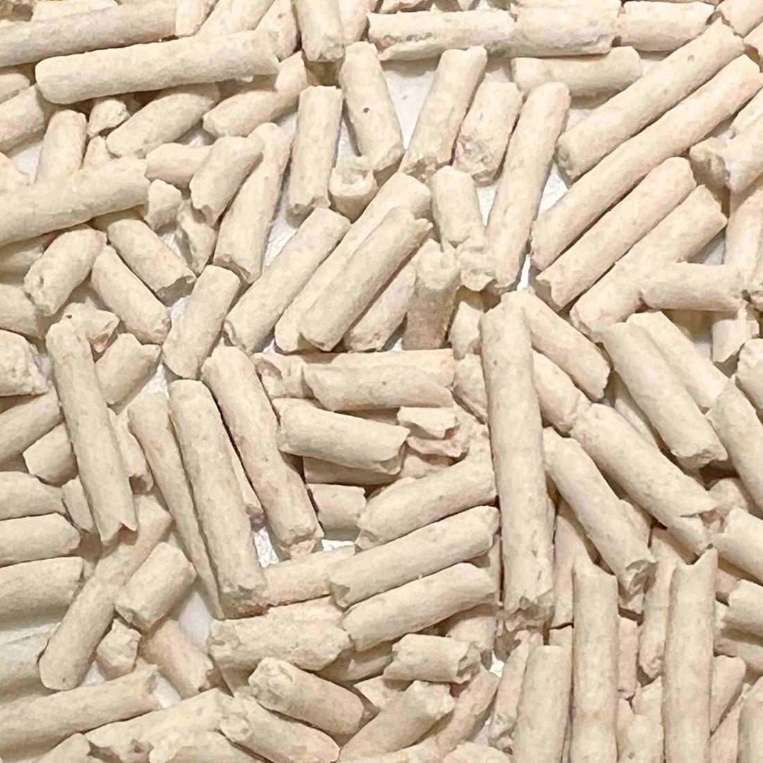 Close-up view of SoyKitty unscented litter pellets made from plant-based ingredients