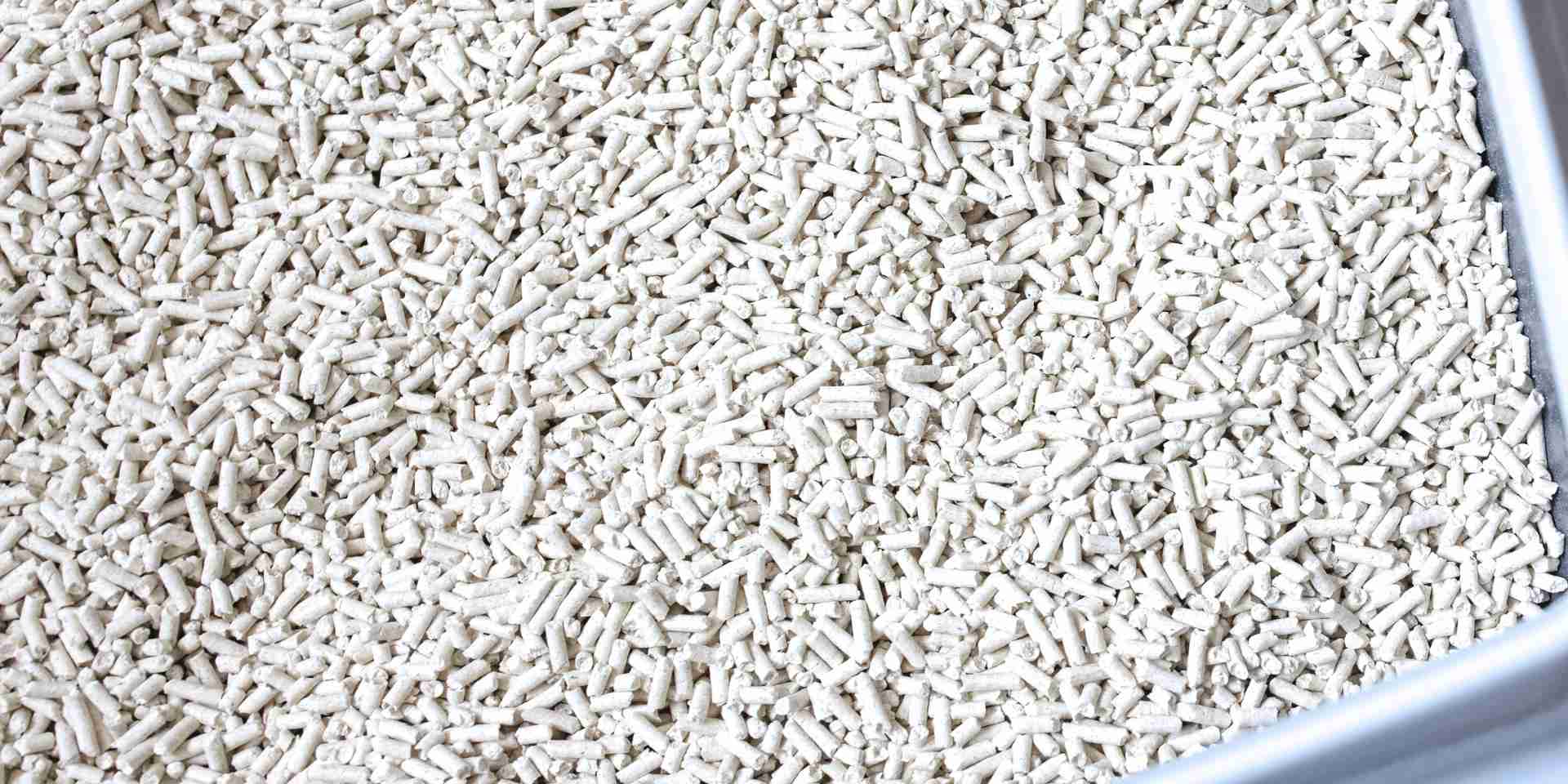 Close-up of tofu cat litter pellets in a litter box, highlighting the final eco-friendly product made from the soybeans